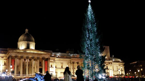 Рождественская елка рядом с освещенным фонтаном на Трафальгарской площади - Sputnik Беларусь