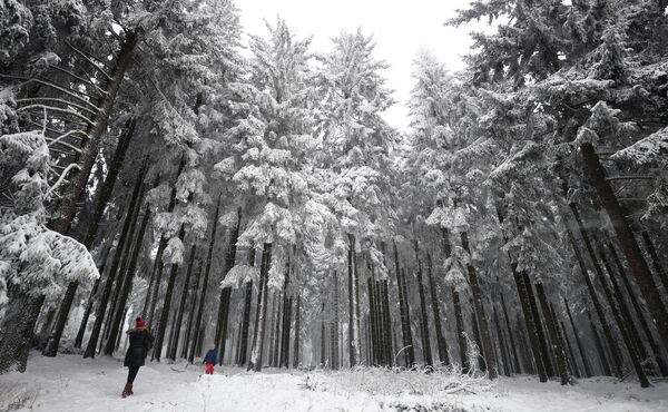 Люди наслаждаются прогулкой по заснеженному лесу в Шмиттене недалеко от Франкфурта. - Sputnik Беларусь