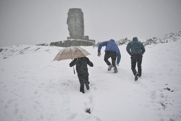 Снежный циклон накрыл северные области Испании. Менее чем за сутки там выпало до 60 сантиметров осадков. - Sputnik Беларусь