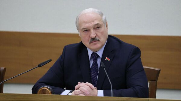 Александр Лукашенко на встрече с активом Витебской области - Sputnik Беларусь