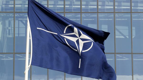 Как изменится обстановка вокруг Беларуси, если Украину примут в НАТО? - Sputnik Беларусь