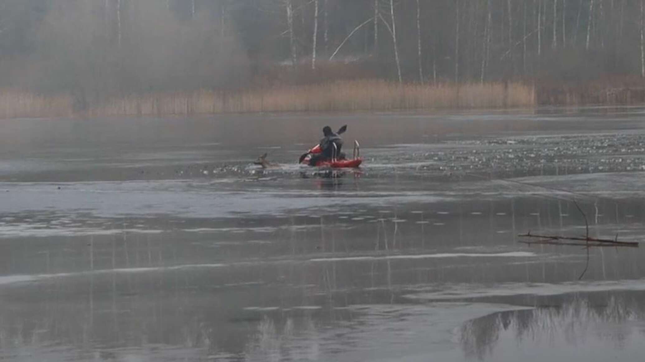 Беларусь последние видео