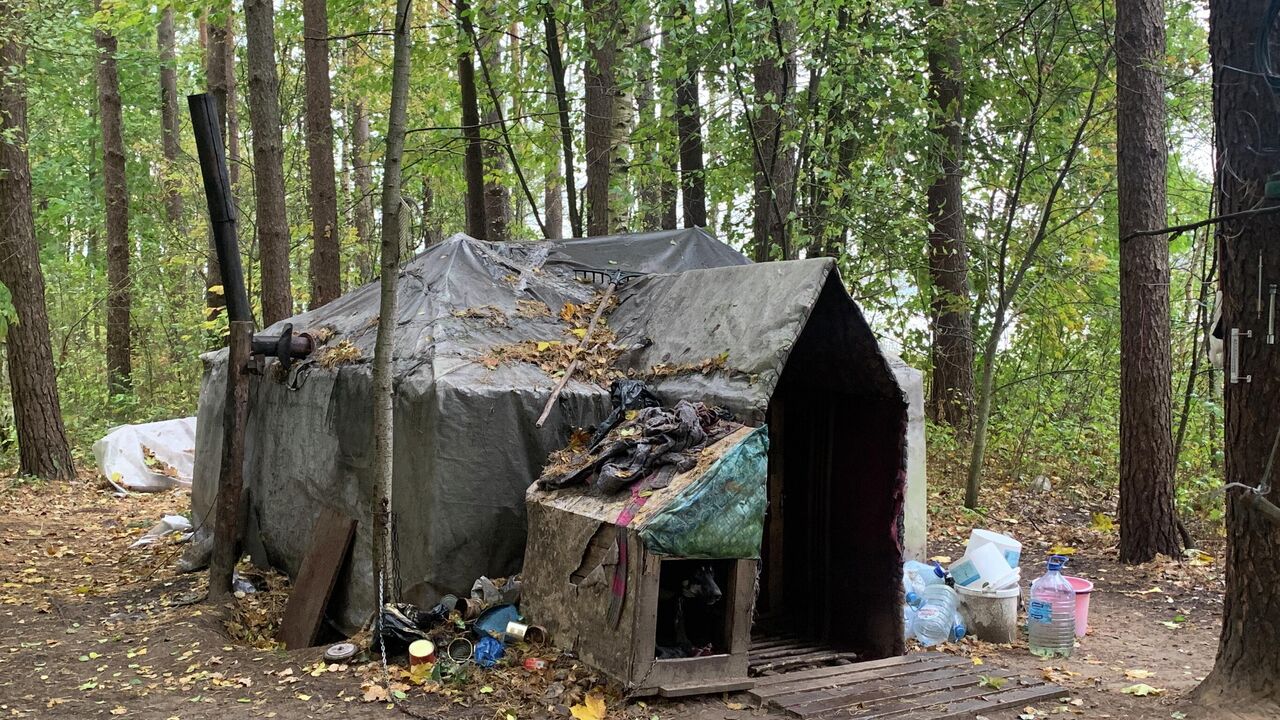 Бомж построил домик в лесу под Гродно – все закончилось пожаром и смертью -  20.12.2021, Sputnik Беларусь