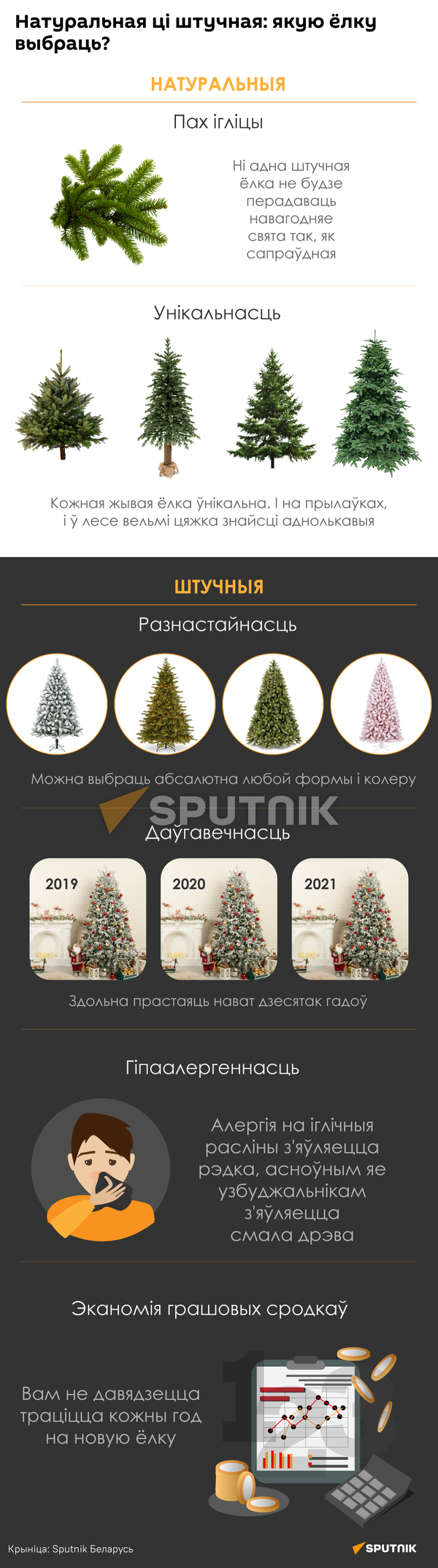 Якую ёлку выбраць – інфаграфіка - Sputnik Беларусь
