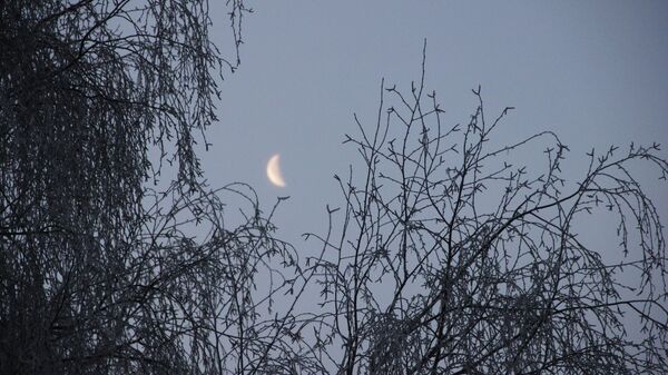 Декабрь в Минске Декабрь в Минске - Sputnik Беларусь