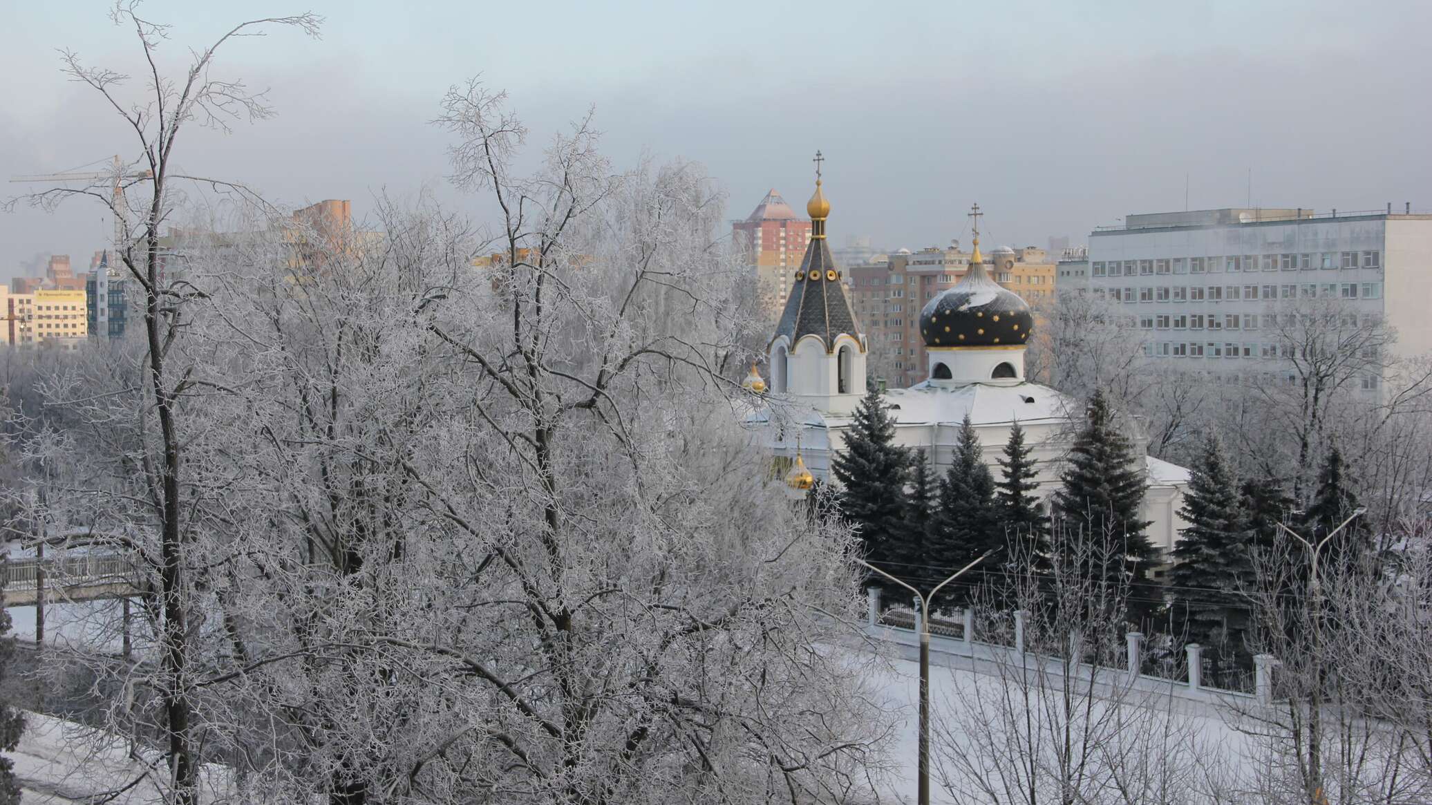 Снег в минске сегодня фото