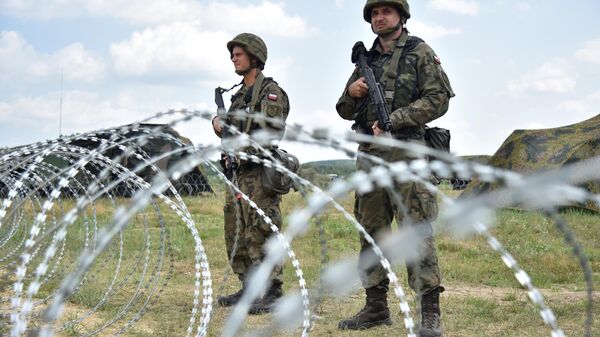 Из Украины и Беларуси хотели сделать витрину: Вассерман об ошибке Запада - Sputnik Беларусь