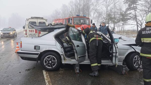 Сотрудники МЧС спасли в Могилевском районе водителя BMW - Sputnik Беларусь