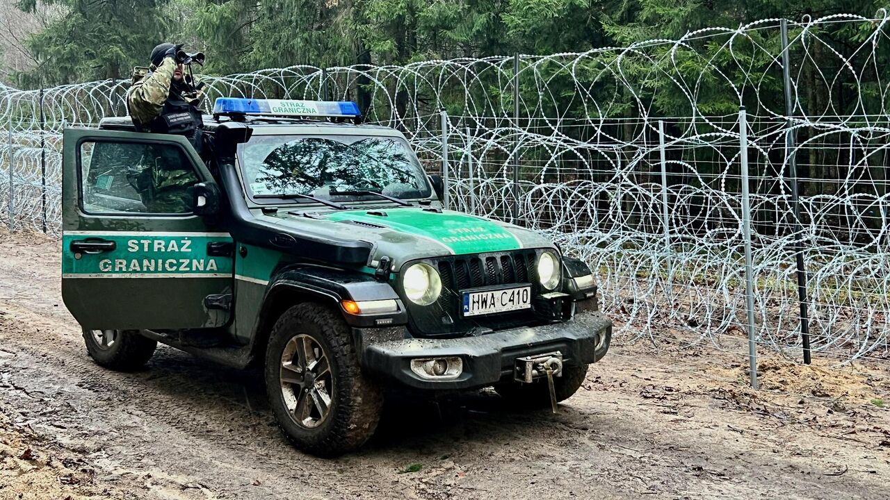 В Польше заявили, что забор на границе животным мешать не будет -  09.02.2022, Sputnik Беларусь