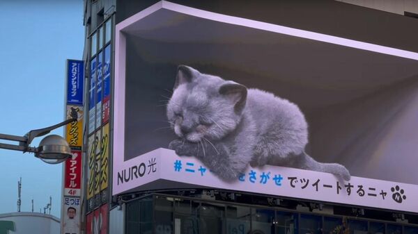 Теперь котенок: японцы обновили лучшую в мире 3D-рекламу - Sputnik Беларусь