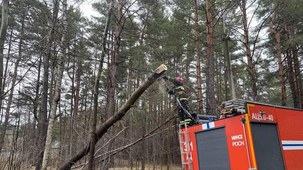 Сотрудники МЧС срезают упавшие деревья - Sputnik Беларусь
