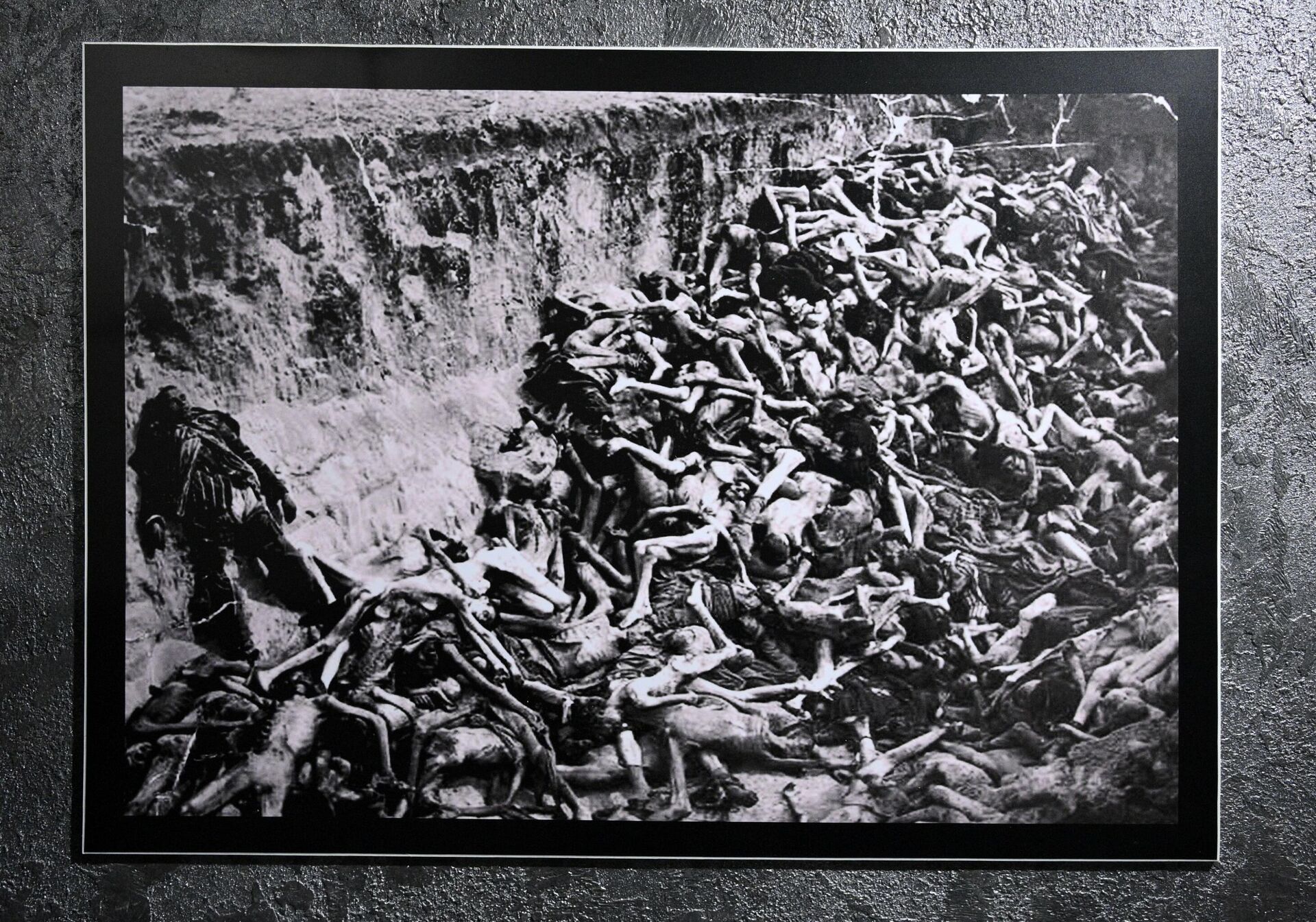На фото из музея Шталага: массовое захоронение узников лагеря - Sputnik Беларусь, 1920, 19.01.2022