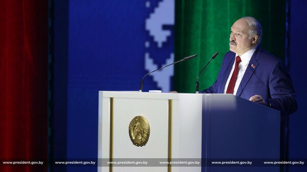 Президенту докладывают не все: зачем бизнесу личная встреча с Лукашенко? - Sputnik Беларусь