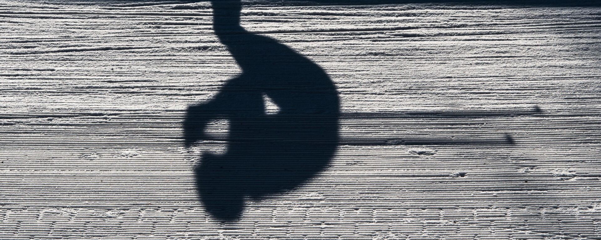 Лыжные гонки - Sputnik Беларусь, 1920, 02.12.2025