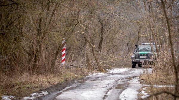 Польские патрули на границе - Sputnik Беларусь