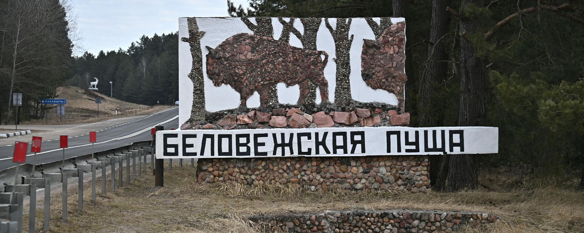 Беловежская пуща - Sputnik Беларусь, 1920, 30.05.2025