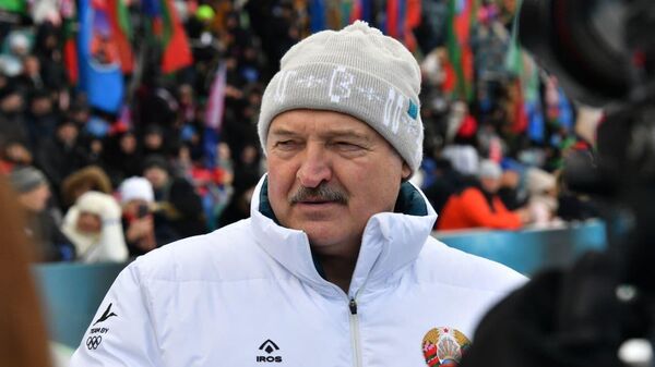 Кошки отдыхают : Лукашенко высказался о санкциях - Sputnik Беларусь