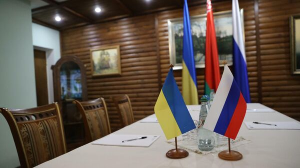 Грызлов раскрыл подробности переговоров с Украиной - Sputnik Беларусь