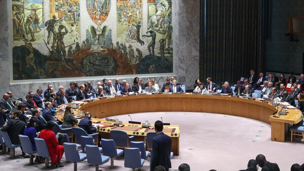 Заседание Совета Безопасности ООН в рамках 74-й сессии Генеральной Ассамблеи ООН в Нью-Йорке - Sputnik Беларусь