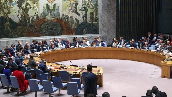 Заседание Совета Безопасности ООН, архивное фото - Sputnik Беларусь