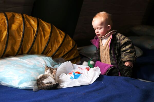 Ребенок беженцев из Мариуполя с кошкой в пункте оказания помощи. - Sputnik Беларусь