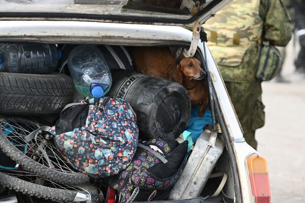 Собака в багажнике автомобиля беженцев, покидающих Мариуполь. - Sputnik Беларусь
