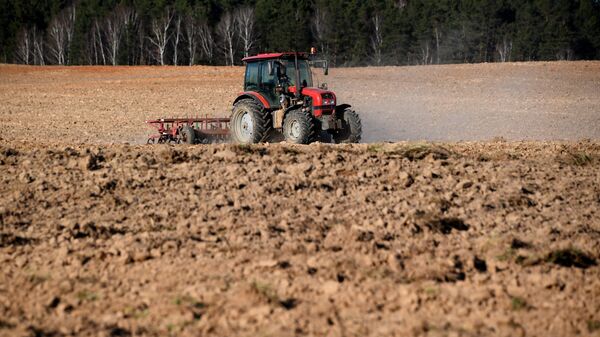 Весенние полевые работы - Sputnik Беларусь
