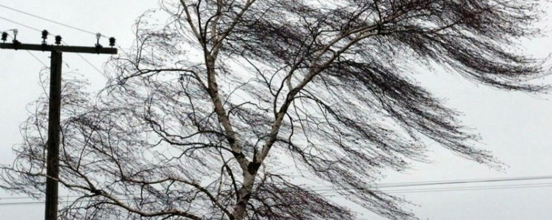 Сильный ветер - Sputnik Беларусь, 1920, 24.04.2026