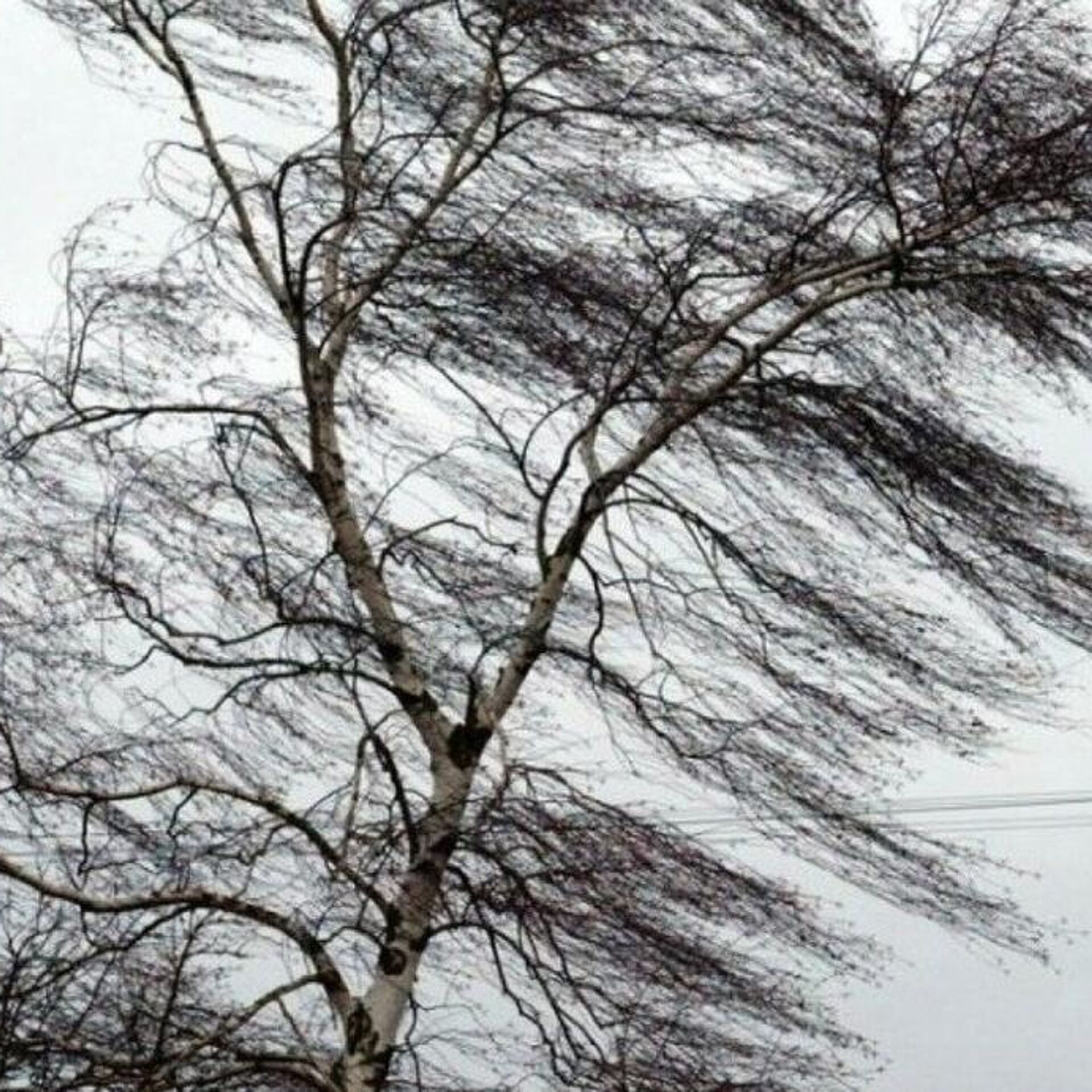 К чему снится ветер сильный на улице. Сильный ветер в Костромской области. Сильный ветер. Усиление ветра. Порывистый ветер.