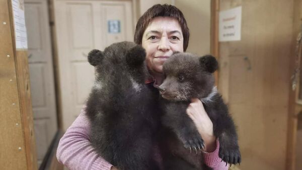 Мама бросила двоих медвежат, теперь они живут в Витебском зоопарке - Sputnik Беларусь