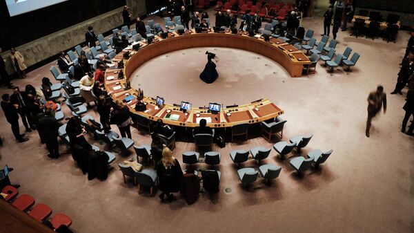 Заседание Совета безопасности ООН - Sputnik Беларусь