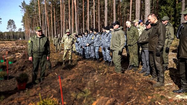 Милиция высадила более 15 тысяч деревьев в Налибокской пуще - Sputnik Беларусь