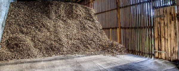 Топливная щепа - Sputnik Беларусь