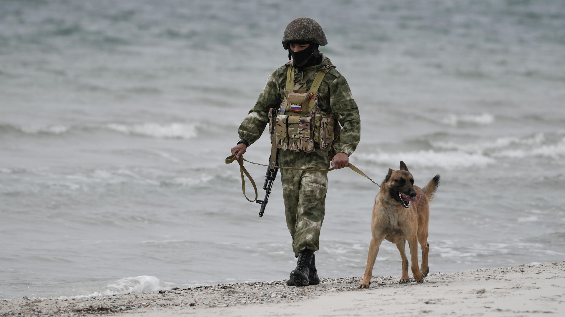 Военный кинолог с собакой патрулируют разминированный пляж в Херсонской области - Sputnik Беларусь, 1920, 08.05.2022
