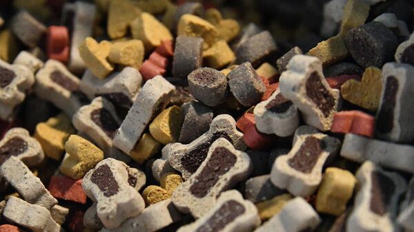 Сухі корм для хатніх жывёл - Sputnik Беларусь