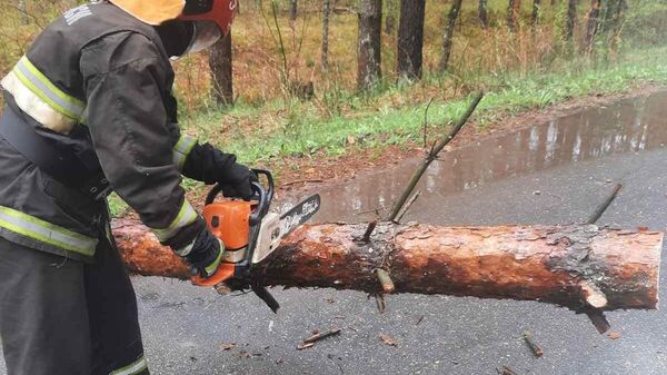 Работник МЧС распиливает поваленное дерево - Sputnik Беларусь