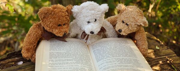 Кніжкі і цацкі - Sputnik Беларусь