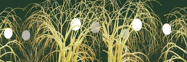 Национальный центр современных искусств Республики Беларусь - Sputnik Беларусь