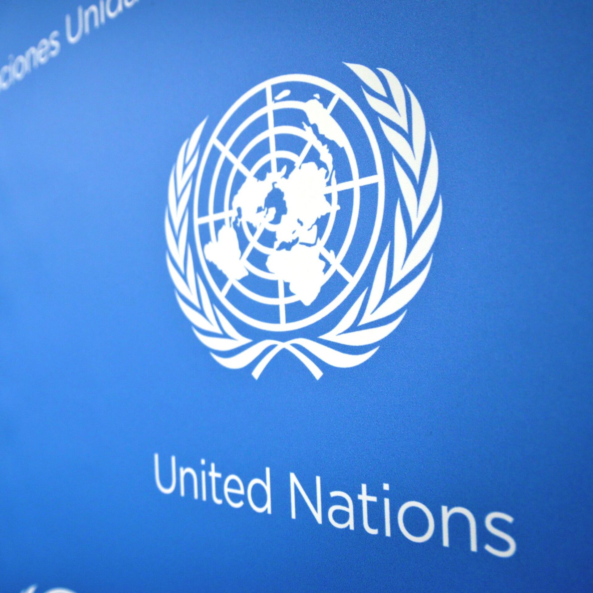 Заявление оон. Эмблема ООН. Эмблема ООН фото. Совет безопасности ООН эмблема. Эмблема ООН Вена.
