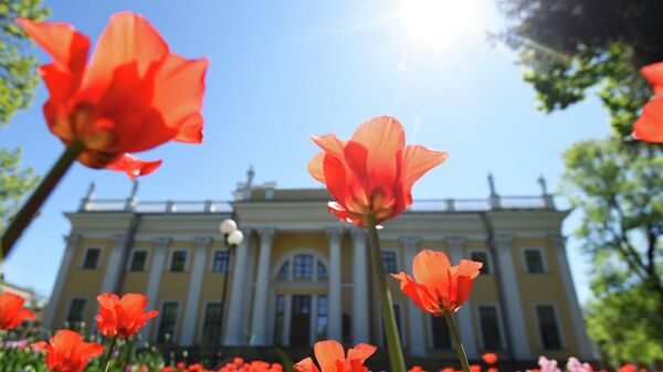 Дворец Румянцевых и Паскевичей в Гомеле - Sputnik Беларусь