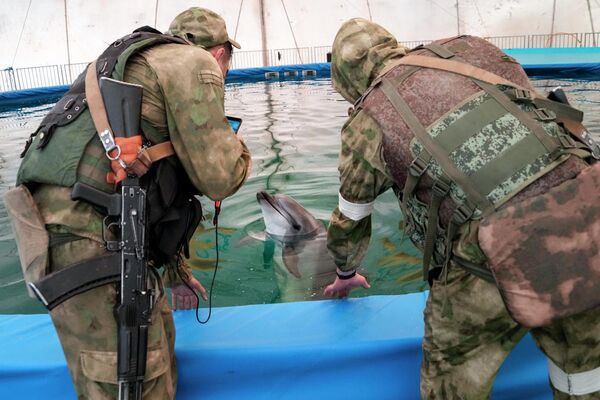 Российские военные в дельфинарии украинского города Скадовск. - Sputnik Беларусь