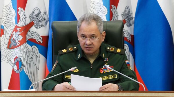Министр обороны России Сергей Шойгу - Sputnik Беларусь