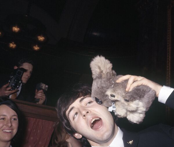 Пол Маккартни играет с мягкой игрушкой коалы на приеме в честь группы в Австралийском доме в Лондоне 22 апреля 1964 года. - Sputnik Беларусь