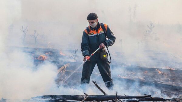 Борьба с лесными пожарами в Курганской области - Sputnik Беларусь