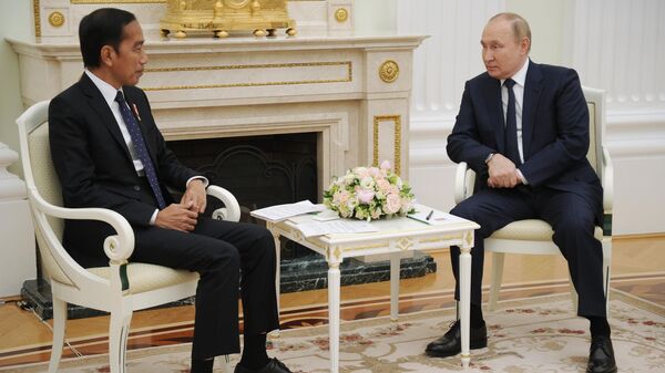 Президент РФ Владимир Путин на встрече с президентом Индонезии Джоко Видодо - Sputnik Беларусь
