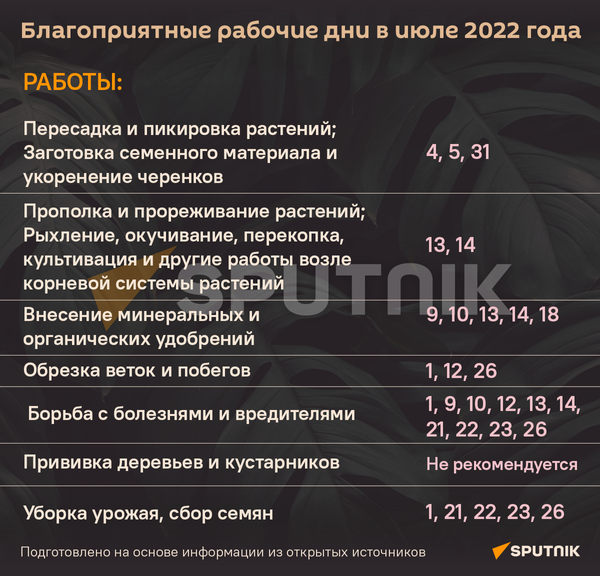 Лунный календарь на июль 2022 - Sputnik Беларусь
