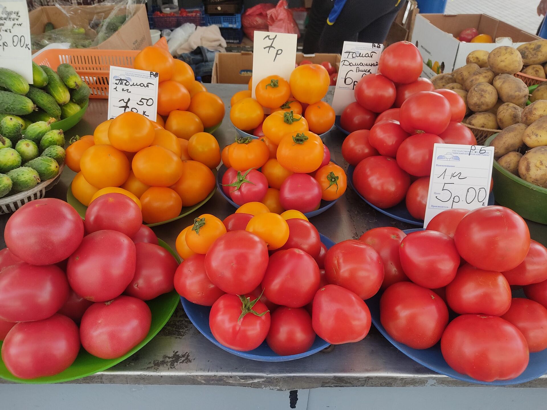 Цены на томаты на Комаровке стартуют от 4 с половиной рублей за кило   - Sputnik Беларусь, 1920, 08.07.2022