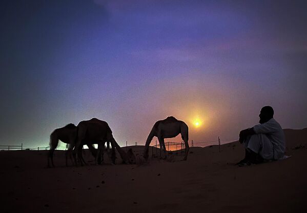 Пастух и верблюды под полной луной в пустыне Аль-Мармум примерно в 40 км к юго-востоку от Дубая. - Sputnik Беларусь