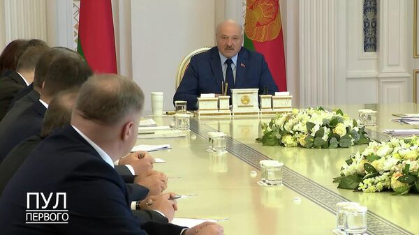 Нужно строить не дворцы, а больницы - Лукашенко - Sputnik Беларусь