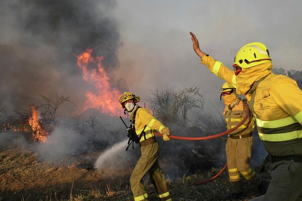 Пожарные пытаются потушить лесной пожар рядом с деревней Табара, недалеко от Саморы, на севере Испании. - Sputnik Беларусь